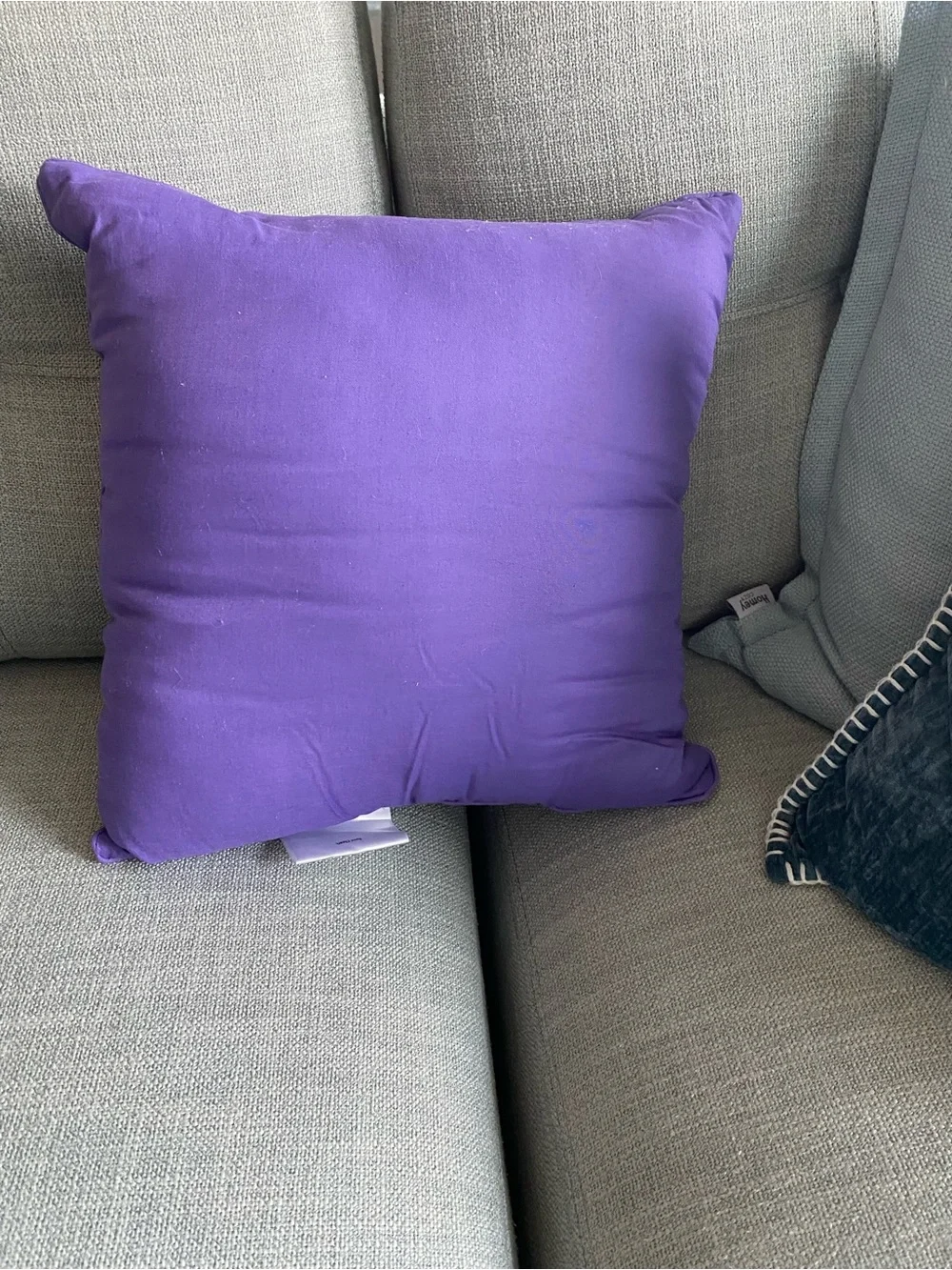 Jessica Simpson Purple Pillow with White Damask Motifs
